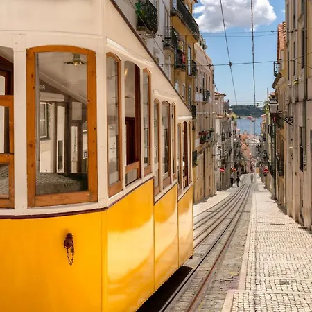 Steps Διαμέρισμα *